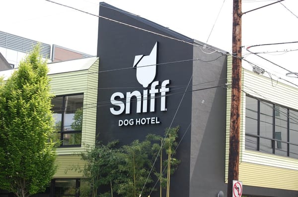 sniff hotel photos for sniff hotel yelp sniff hotel photos for sniff hotel yelp