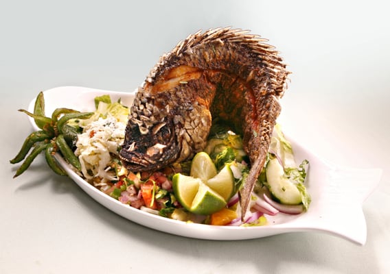 mojarra fish