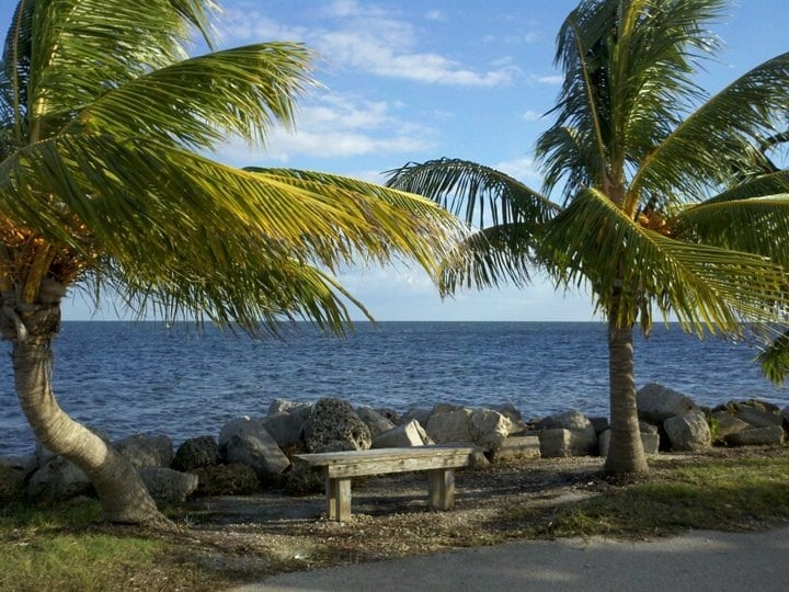 Photos for Matheson Hammock Park Yelp
