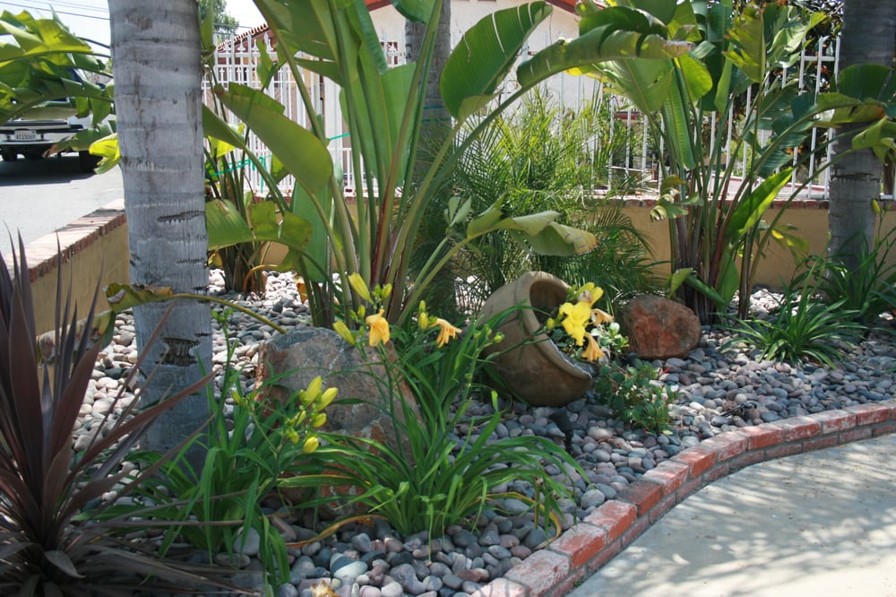 Giant Bird of paradise, daylilies and accent pot with