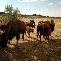 Casino near lubbock tx