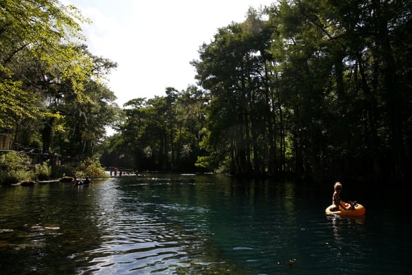 Manatee Springs State Park - 20 Photos - Parks - Chiefland, FL