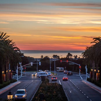 Dog Friendly Places To Eat In Newport Beach Ca Dog Friendly Places To Eat In Newport Beach Ca