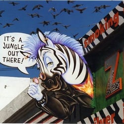 zebra tattoo amp body piercing tattoo telegraph ave zebra tattoo amp body piercing tattoo telegraph ave