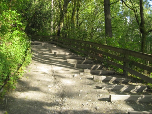 edmonds park meadowdale park 146 photos parks edmonds wa reviews yelp edmonds park meadowdale park 146 photos parks edmonds wa reviews yelp
