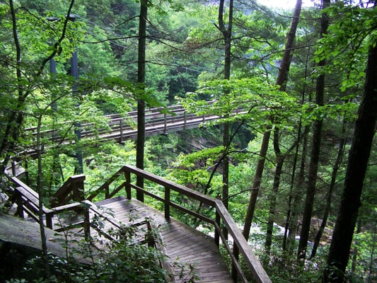 tallulah falls bbw dating site Let us help you compare prices and packages of top-rated tallulah falls, georgia portrait photographers tallulah falls portrait photographers dating site. tallulah falls bbw dating site Let us help you compare prices and packages of top-rated tallulah falls, georgia portrait photographers tallulah falls portrait photographers dating site.
