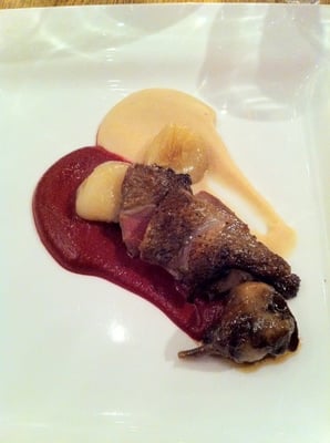 Squab Breast