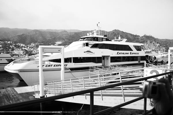 Coupons for catalina express from dana point