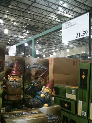 cool gnomes