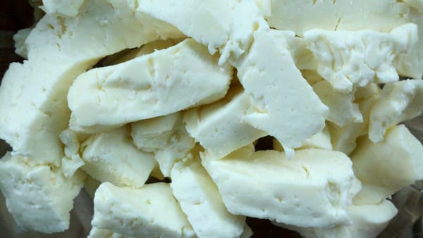 cuba cheese cuba cheese