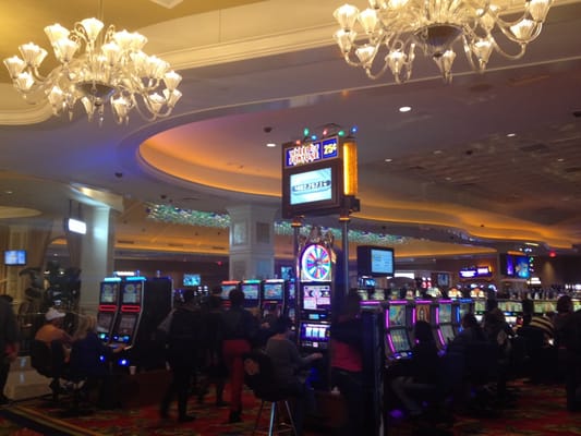 Margaritaville casino hotel bossier city la