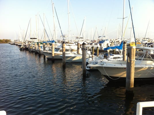 Dinner Key Marina Boating Yelp