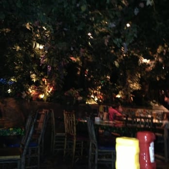 Rainforest Cafe San Antonio Yelp Rainforest Cafe San Antonio Yelp