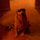 Photo of Katy D.